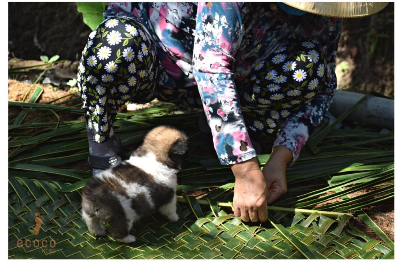Ecoco Homestay Mekong Ben Tre المظهر الخارجي الصورة