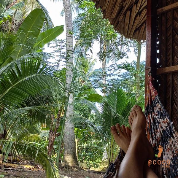 Ecoco Homestay Mekong Ben Tre المظهر الخارجي الصورة