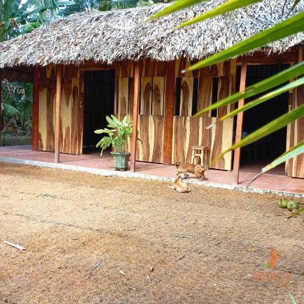 Ecoco Homestay Mekong Ben Tre المظهر الخارجي الصورة